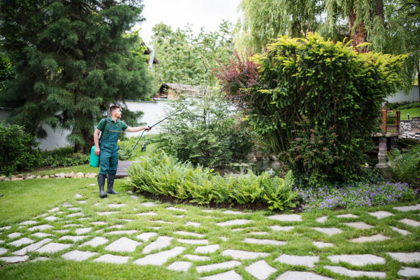 Best Pest Prevention Services  in Mahnomen, MN