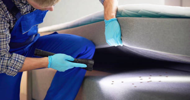 Best Residential Pest Control  in Mahnomen, MN